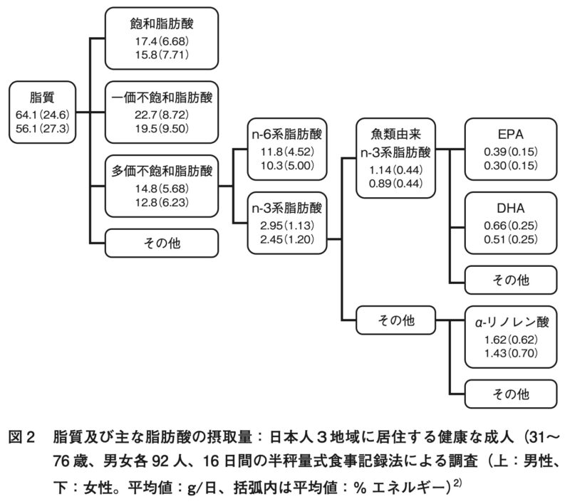 脂質及び主な脂肪酸の摂取量